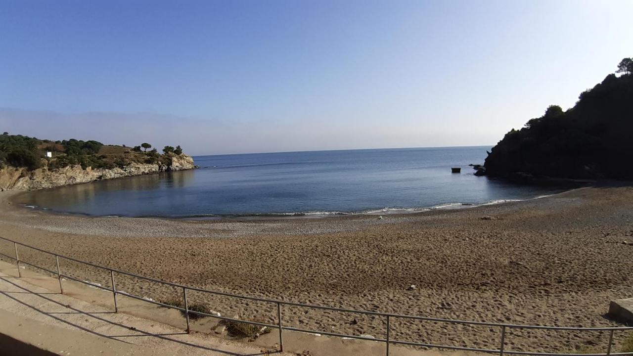 Cap D Osne - Banyuls Sur Mer - 2Mn Plage Exterior photo